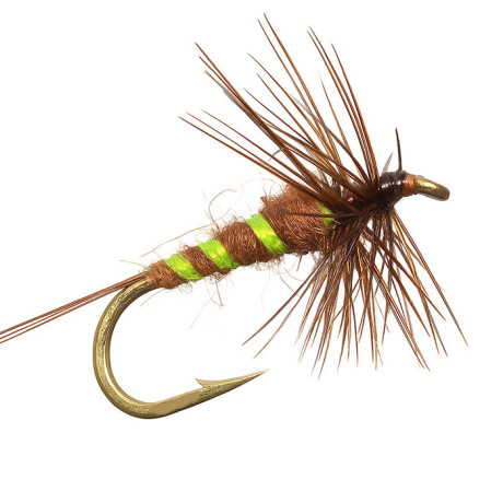 Brown Gnat Mayfly