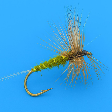 Olive Mayfly