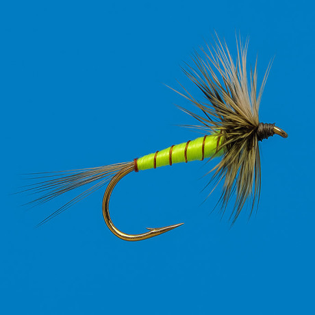 Yellow Mayfly
